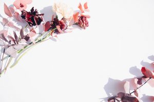 pink and white flowers on white wall