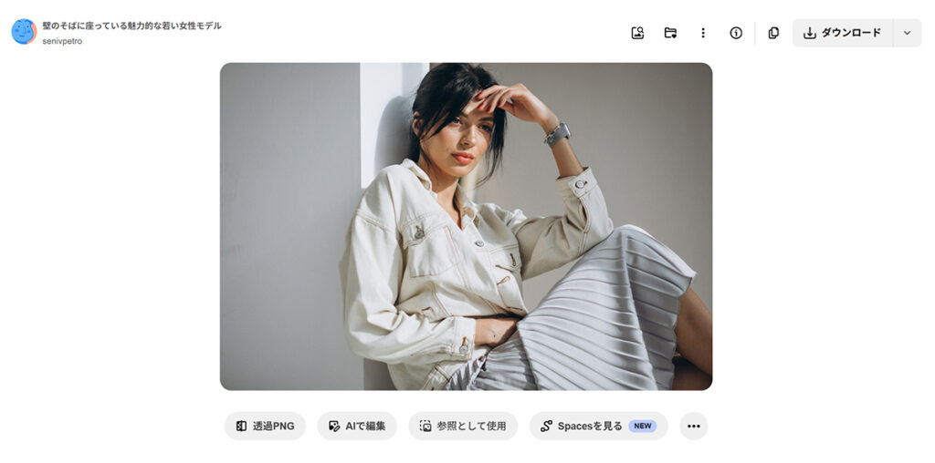 Freepikの使い方 ステップ18：個別の詳細ページがひらく