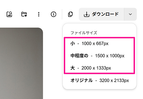 Freepikの使い方 ステップ20：ファイルサイズを指定してダウンロードできる