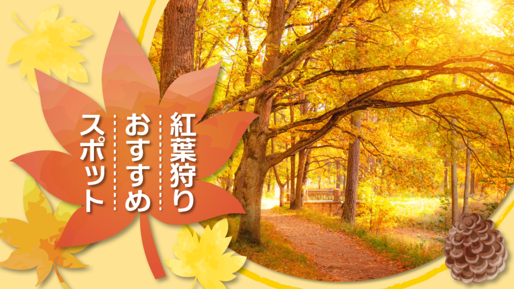 画像を円形に切り抜いてやわらかい印象にした紅葉狩りデザインの作例
